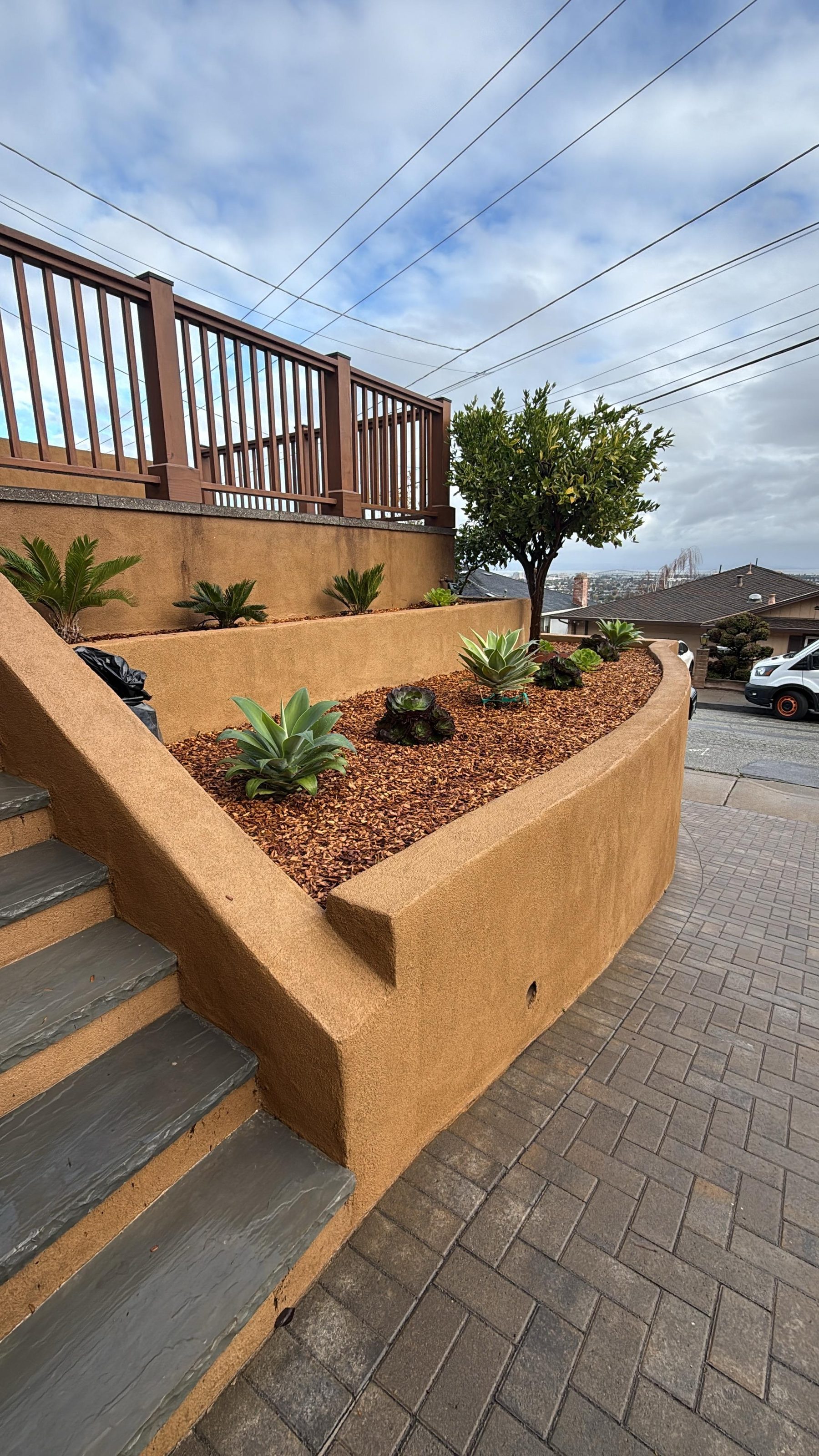 Stucco retaining wall, steps and new planting